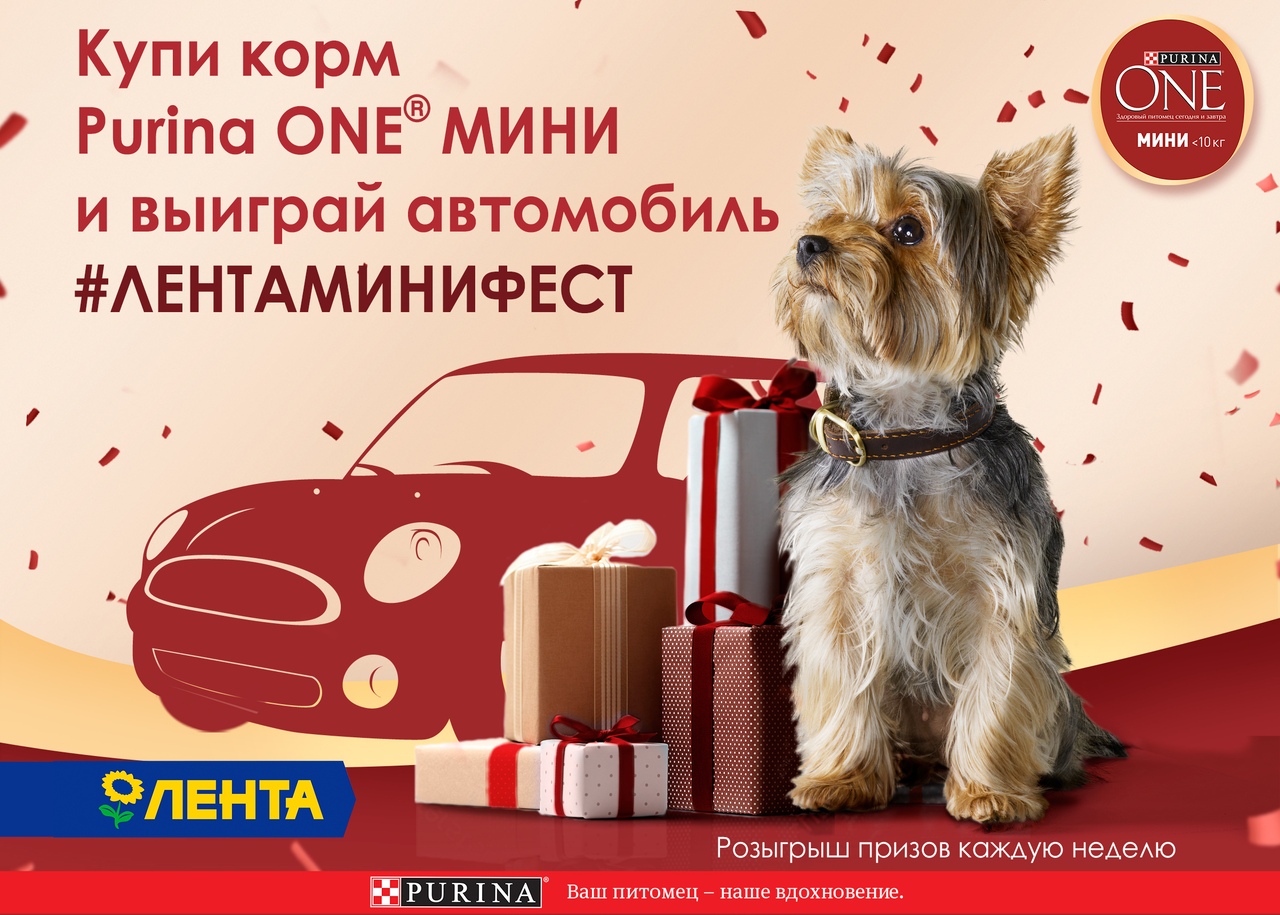 Рекламная акция Purina «Purina ONE МИНИ ФЕСТ» в ЛЕНТА