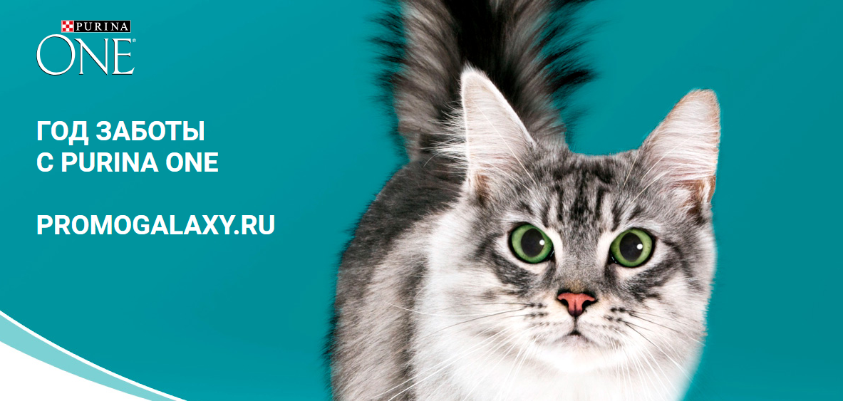 Рекламная акция Nestle Purina One «Год заботы для кошек»