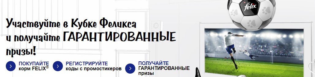 Рекламная акция Felix "Кубок Феликса 2018"