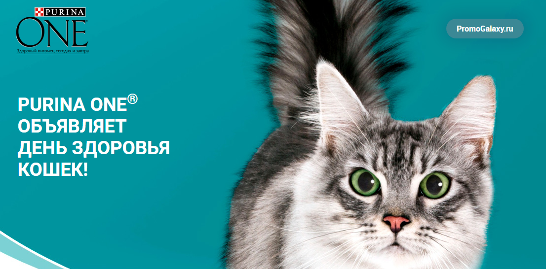 Рекламная акция Nestle Purina One «День здоровья кошек» в Ашан