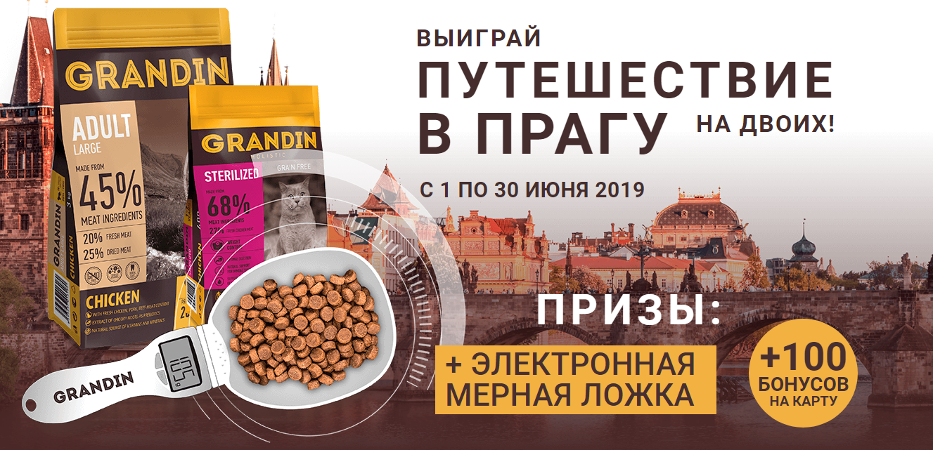 Рекламная акция Grandin «Путешествие в Прагу» в Четыре Лапы