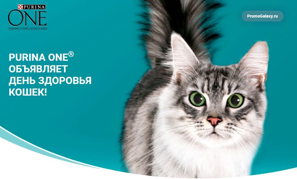 Рекламная акция Nestle Purina One «День здоровья кошек. Обмен» в Лента