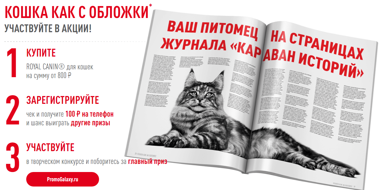 Рекламная акция ROYAL CANIN «Кошка как с обложки»