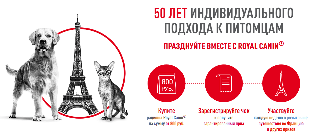 Рекламная акция Royal Canin «50 лет индивидуального подхода»