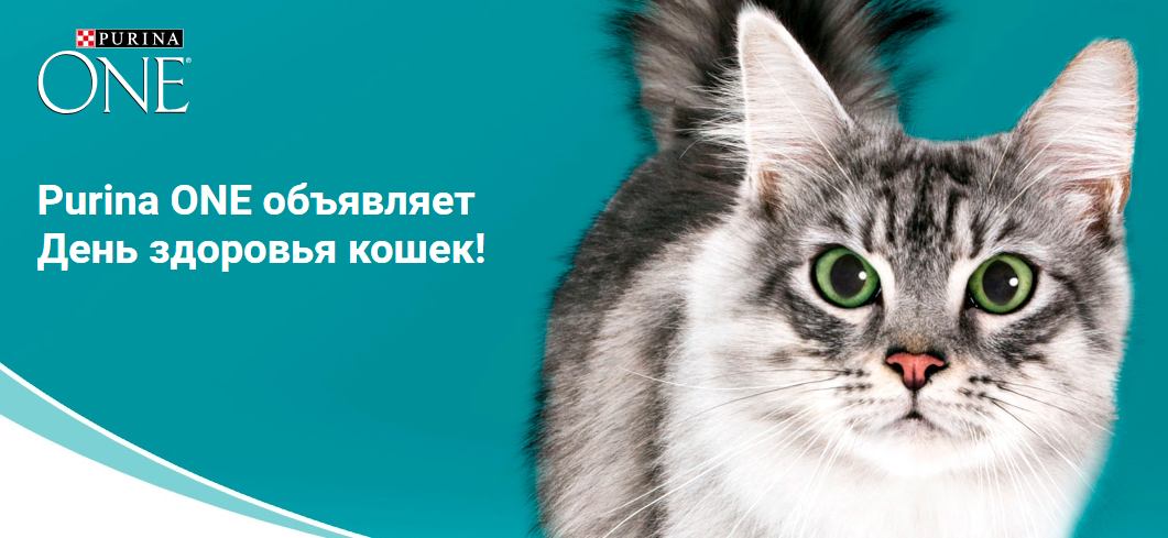 Рекламная акция Purina ONE «День здоровья кошек»