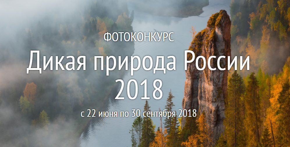 Конкурс National Geographic «Дикая природа России 2018»