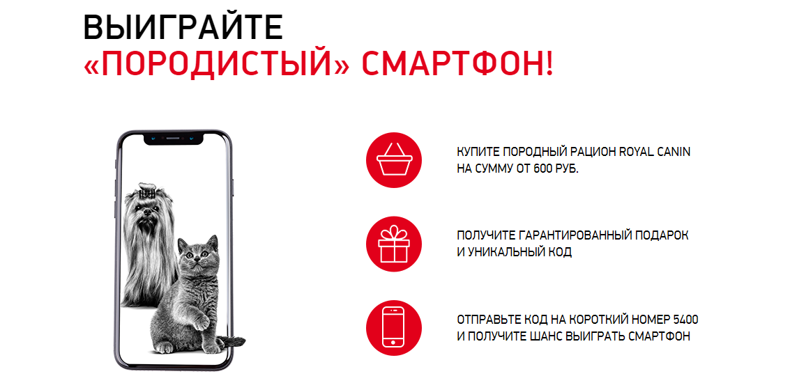 Рекламная акция Royal Canin «Выиграйте «породистый» смартфон!»